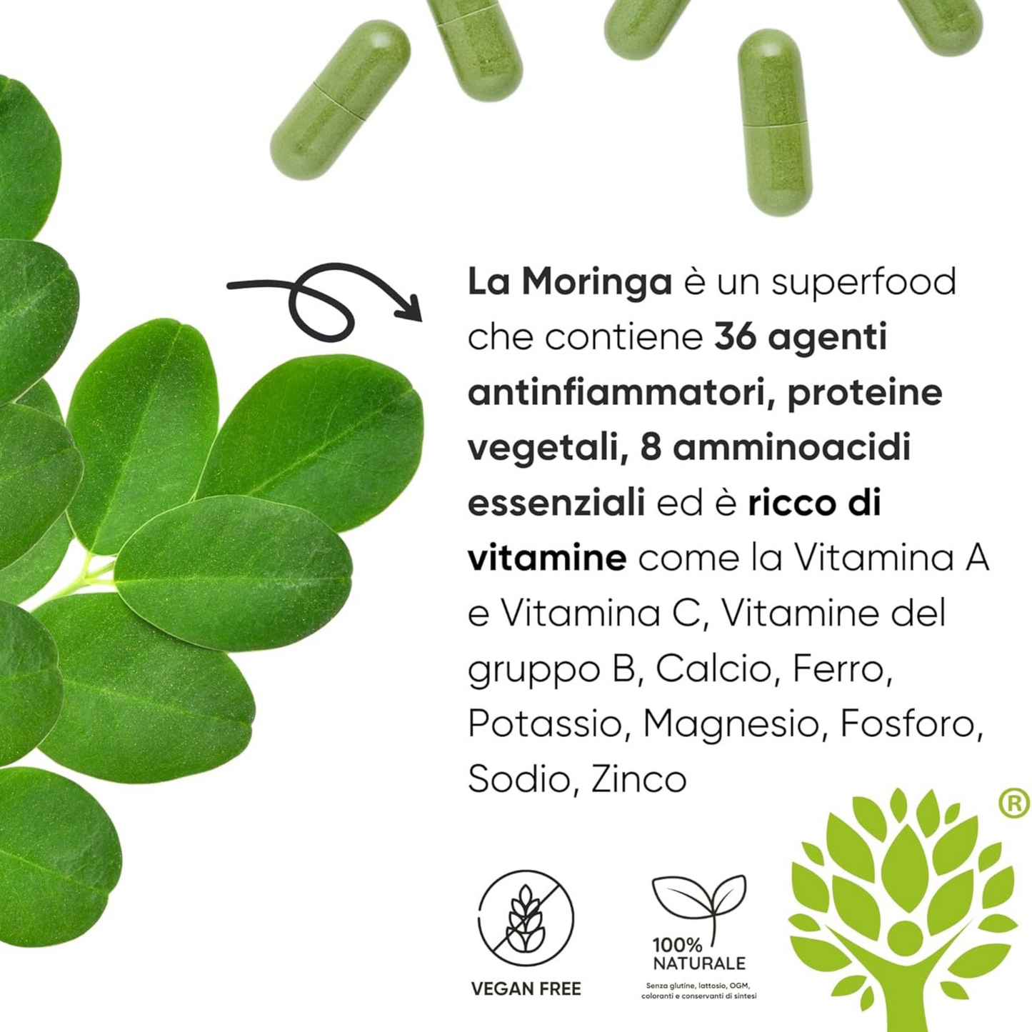 Moringa Oleifera BIO Organic - Integratore in capsule