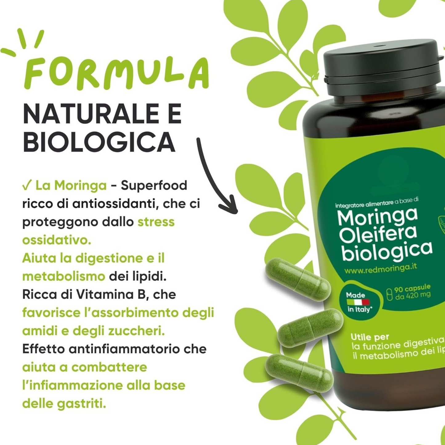 Moringa Oleifera BIO Organic - Integratore in capsule